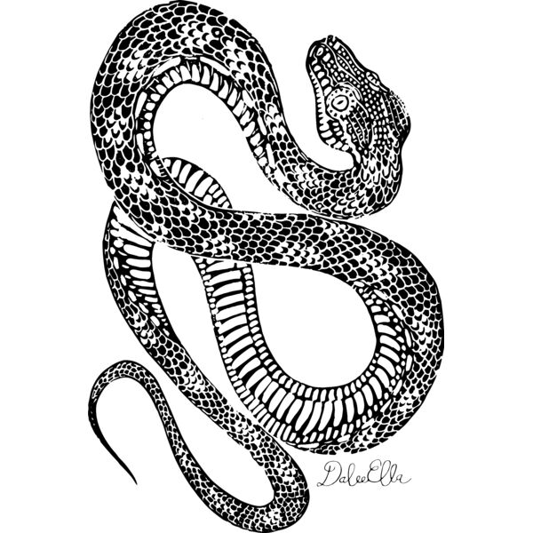 Diamond python 4 shirts Thumbnail