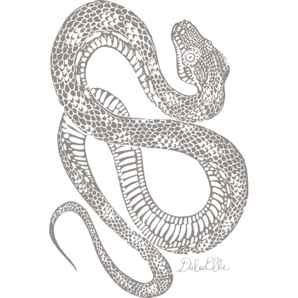 Diamond python grey 4 shirts Thumbnail