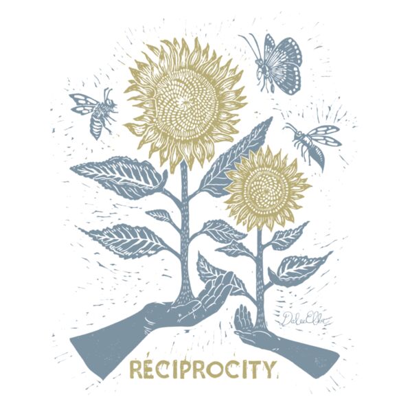 Reciprocity Thumbnail